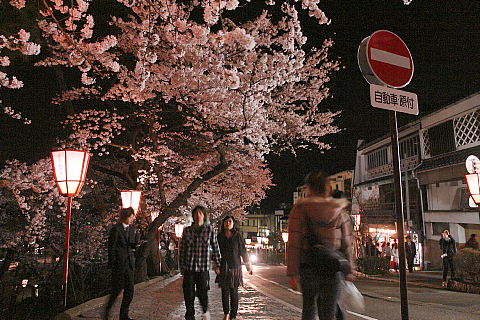 兼六園と金沢城公園の夜桜なのですっ。_a0019545_239226.jpg