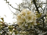 毎年歩きたくなる道_f0019247_23402886.jpg