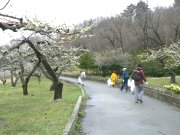 毎年歩きたくなる道_f0019247_236419.jpg