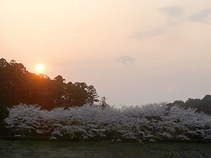 d0037951_11232.jpg
