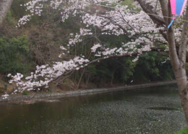 f0069552_4151524.jpg