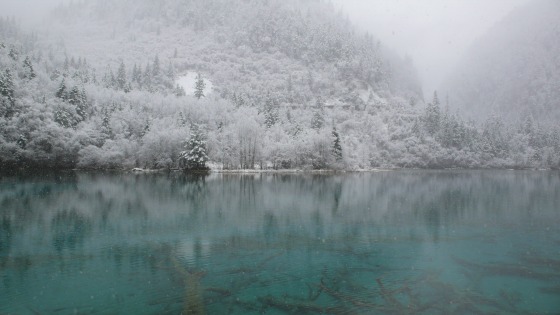 九賽溝・黄龍の旅～雪に抱かれる_a0101253_2250915.jpg