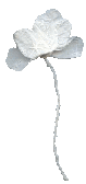 f0115653_17561410.gif