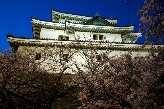 和歌山城　　２０２４-０５-１７　００：００_b0093754_0332735.jpg