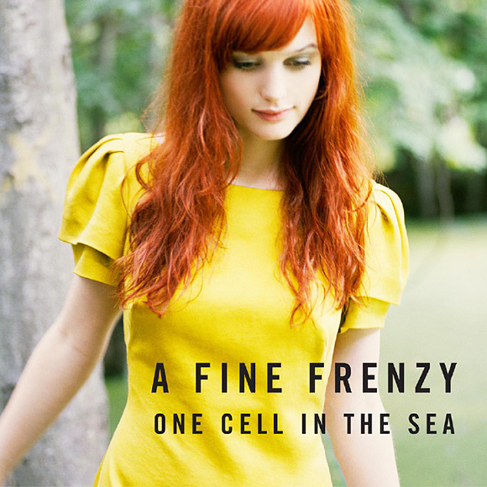 ファイン・フレンジー （A Fine Frenzy）「One Cell In The Sea」（2007）_e0042361_0182676.jpg