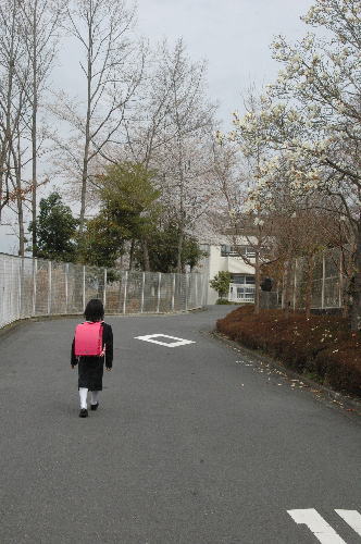 入学式_f0126965_8585779.jpg