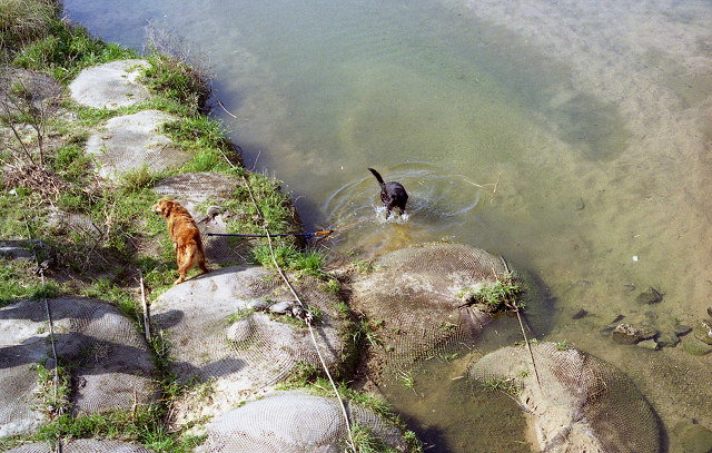 ながれ橋　～フィルム編～_b0050968_21281350.jpg