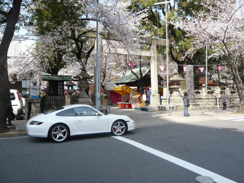 c0084268_8555784.jpg