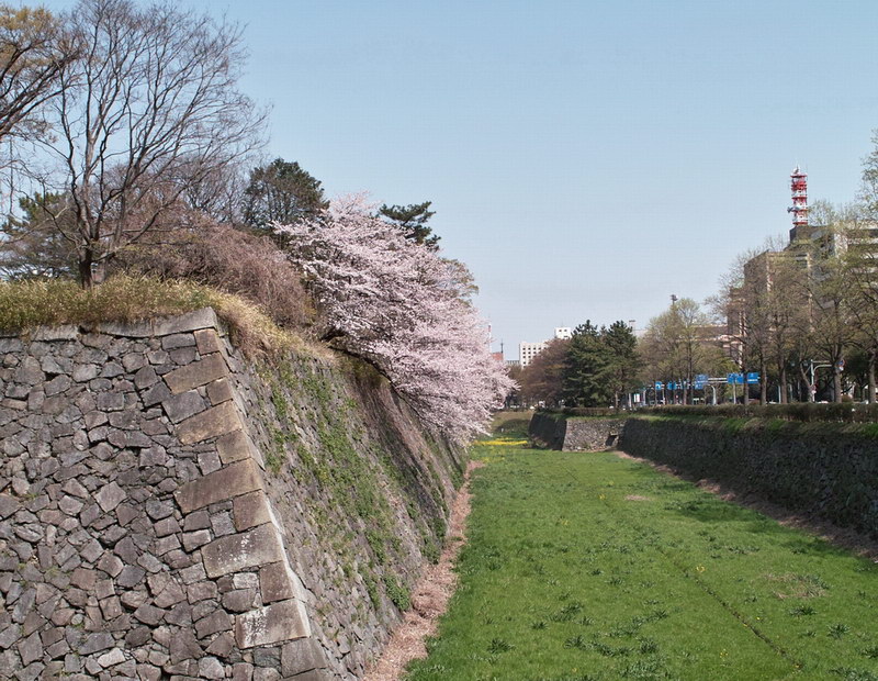c0084268_858144.jpg