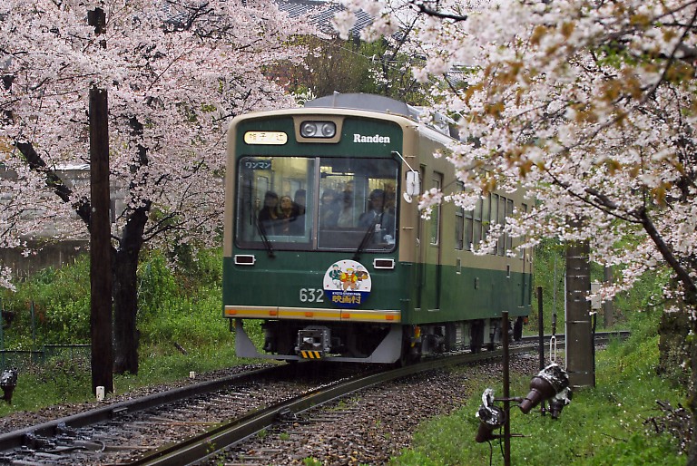 雨の嵐電　桜のトンネル　20080408_a0050572_228217.jpg