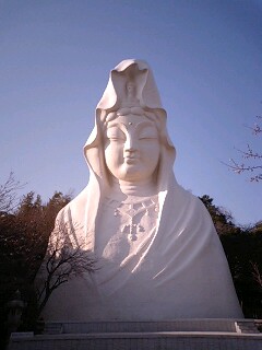 ２００８年度花見総括_d0099872_17311581.jpg