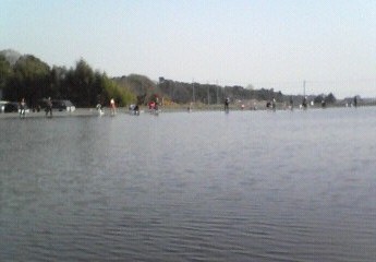 c0158676_19191750.jpg