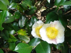 2008年4月5日 久々にウイークエンドってかんじ。。 _b0098584_1495233.jpg