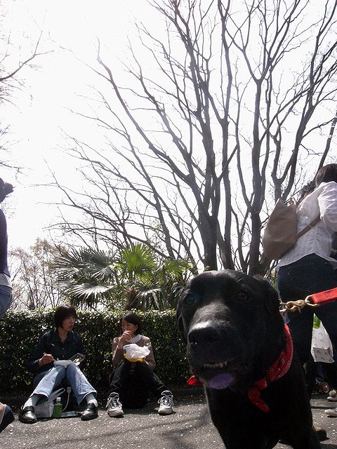 a0093592_12016100.jpg