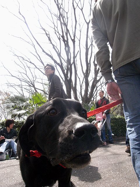 a0093592_1213855.jpg