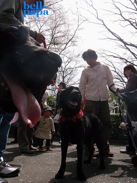 a0093592_132534.jpg