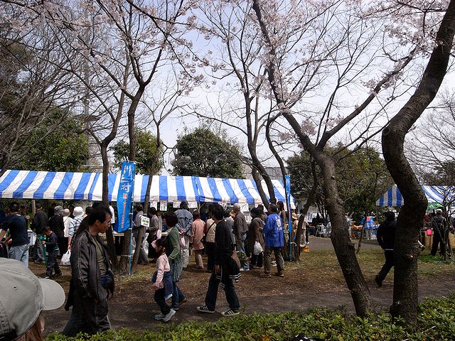a0093592_136677.jpg