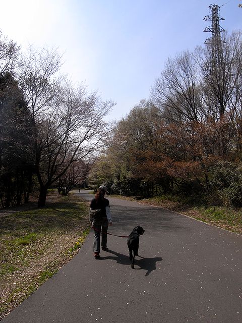 a0093592_147165.jpg