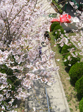 a0045697_224332100.jpg