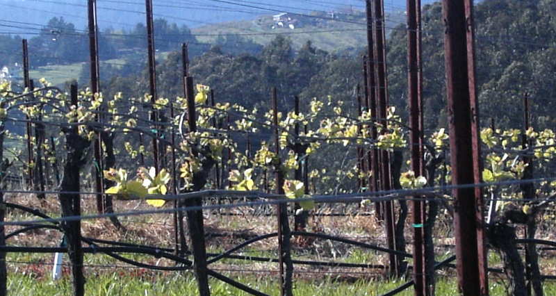 f0007498_314342.jpg