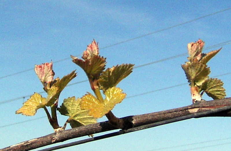 f0007498_32536.jpg