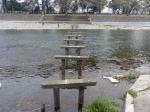c0052304_35262.jpg
