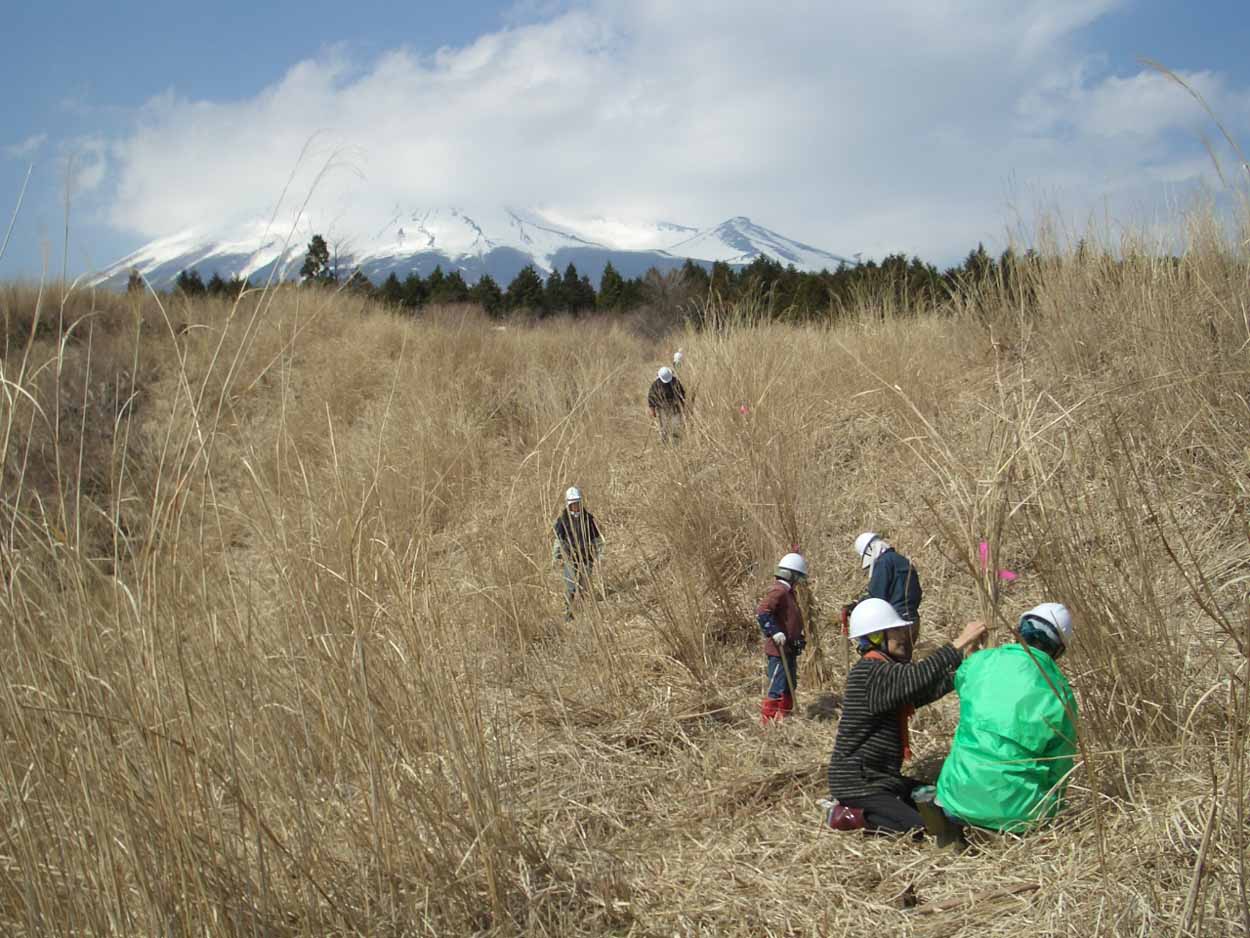 富士山国有林での森づくり・・・の打合せ_f0141310_2352476.jpg