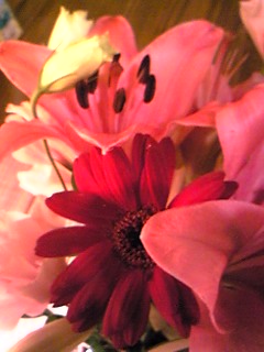 e0098213_1282919.jpg
