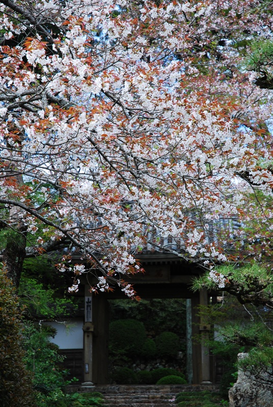 GO GO WEST 龍譚寺_d0065116_21121586.jpg