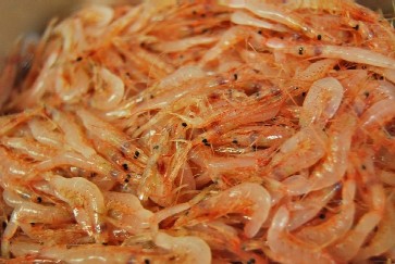 さくらを食す!!!_e0025817_3243884.jpg