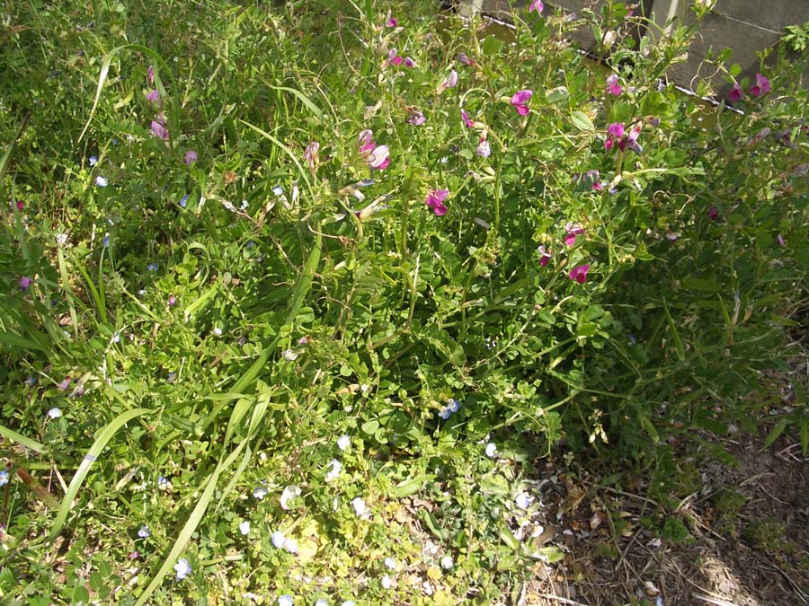 e0125719_03532.jpg