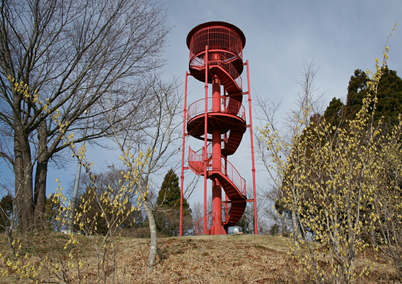 d0137627_0395820.jpg