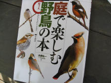 鳥キチ(また鳥ネタか)_c0102228_20323582.jpg