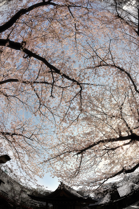 c0126428_2224177.jpg