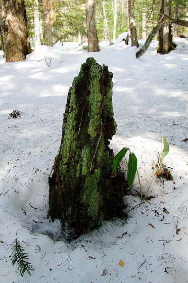 e0025030_1782569.jpg