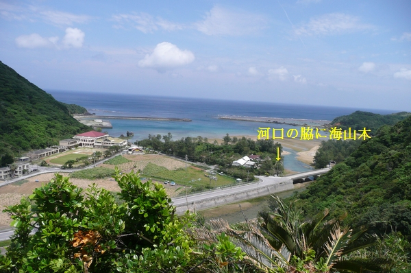 民宿 海山木 行ってきました China Cafe 蘭桂坊 民宿 海山木 行ってきました China Cafe 蘭桂坊