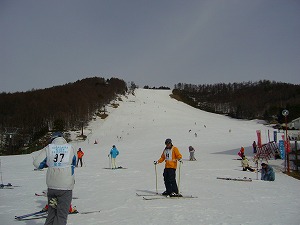 f0065941_21768.jpg