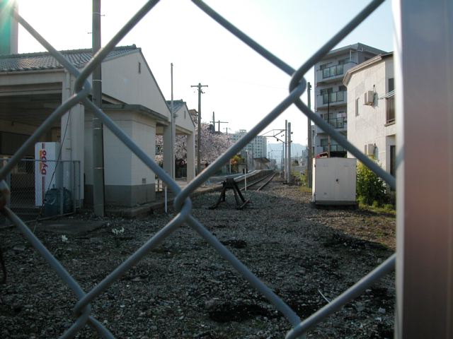 a0063846_128638.jpg
