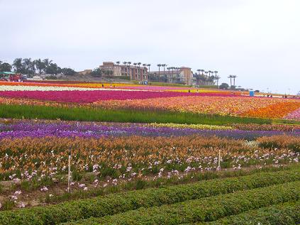 f0041447_1158342.jpg