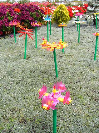 f0041447_1212100.jpg