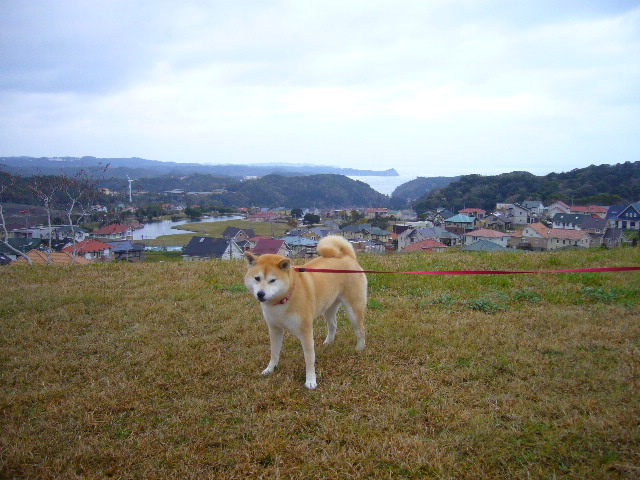4月9日(水)ラッキー君に会ってラッキー!_f0060461_914175.jpg