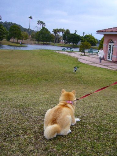 4月9日(水)ラッキー君に会ってラッキー!_f0060461_917322.jpg
