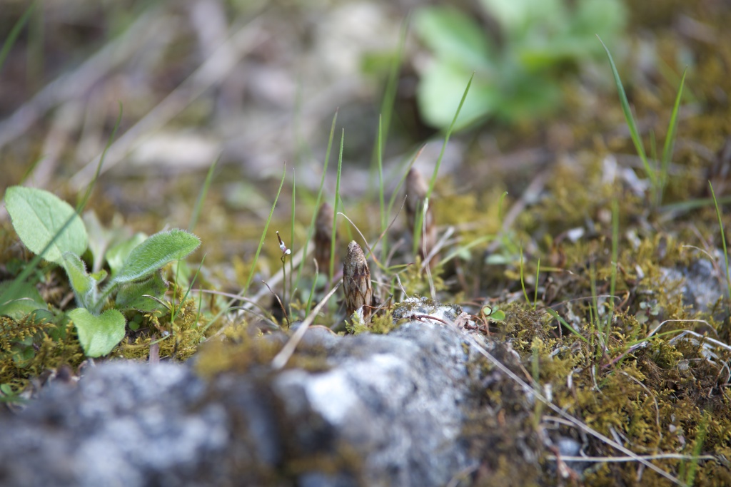 c0108863_21415161.jpg