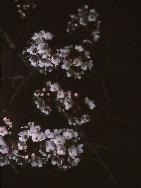 b0074377_23182025.jpg