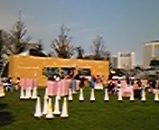 c0073178_91960.jpg