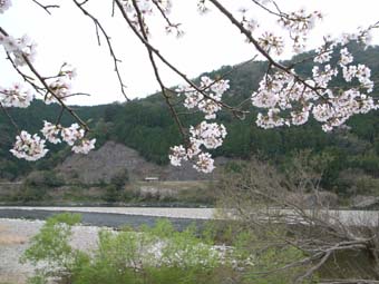 e0012580_9583523.jpg