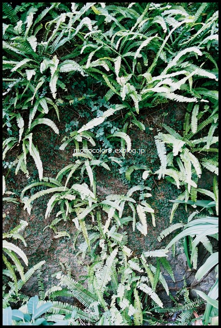f0145484_22245571.jpg