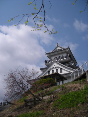 花紀行: 牛伏山桜紀行_d0000995_22154823.jpg