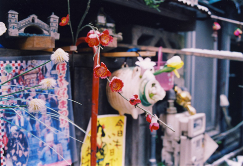 f0121111_2227368.jpg
