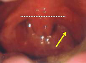 e0097212_19134058.jpg